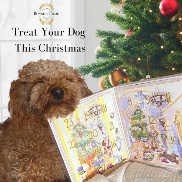 Dog Treats Advent Calendar - 24 Holiday Treats for Dogs - Image 3