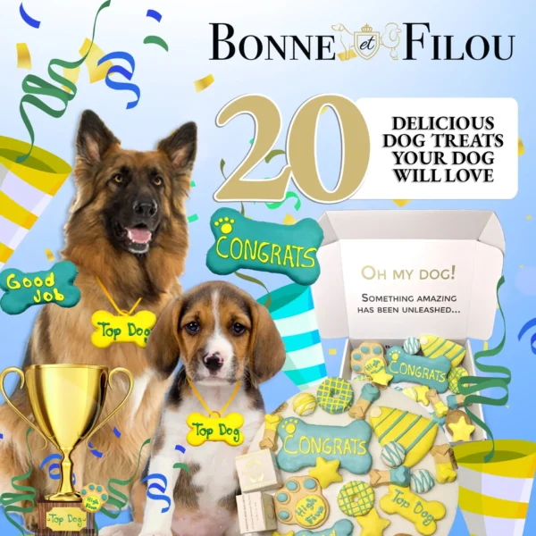 Congrats Themed Dog Treats Gift Box - Image 7