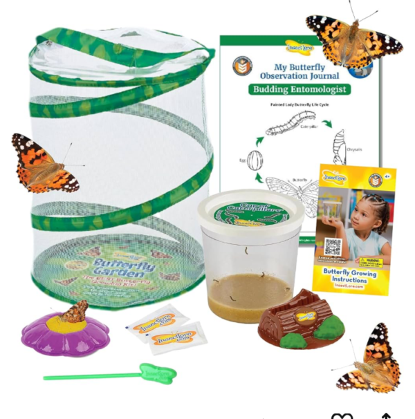 NATIONAL GEOGRAPHIC Butterfly Growing Kit